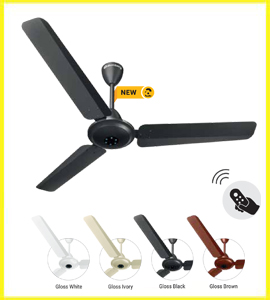 best ceiling fan