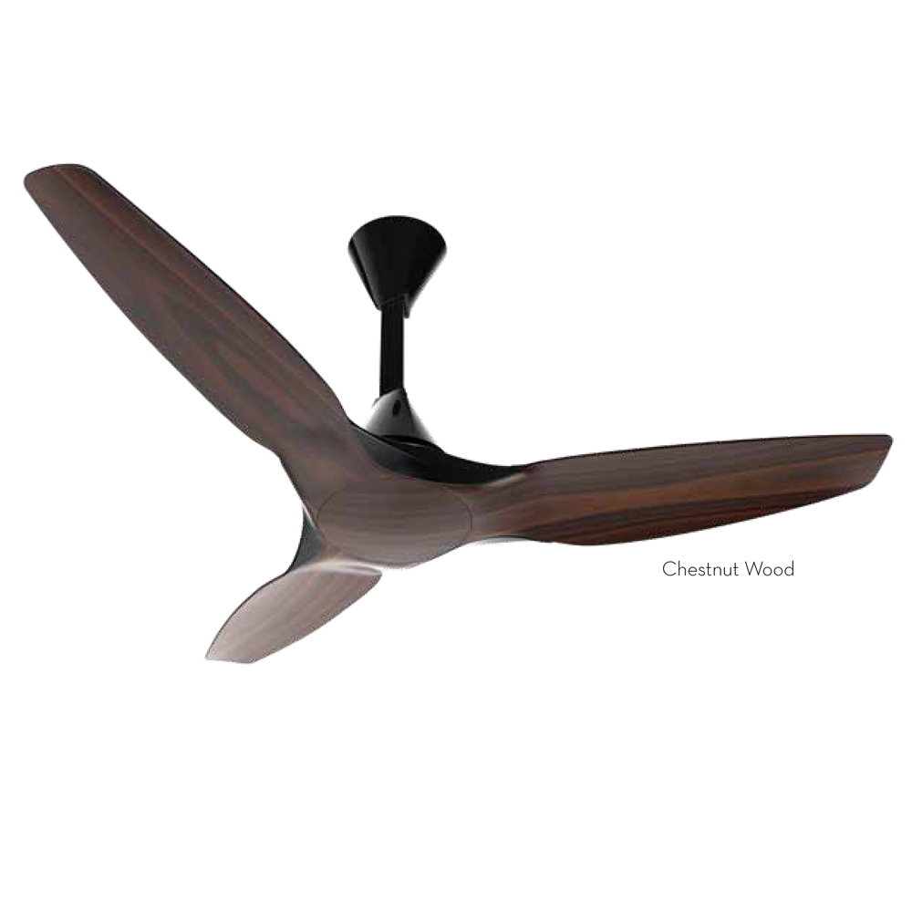 best ceiling fan