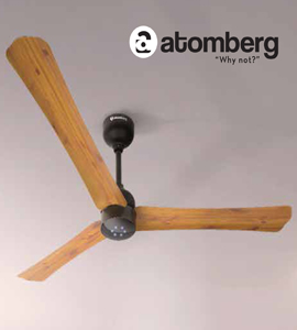 best ceiling fan