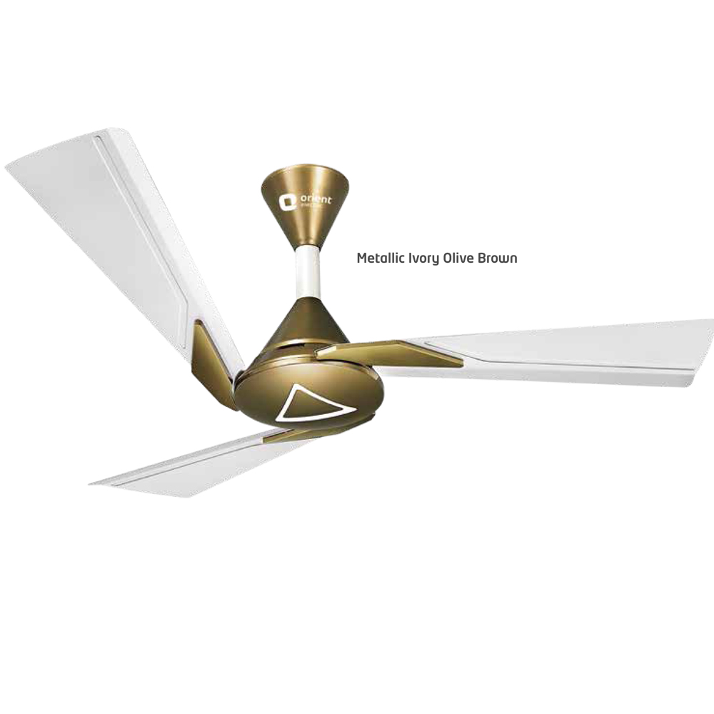 best ceiling fan