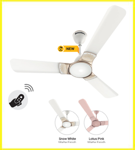 best ceiling fan