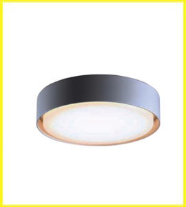 best ceiling lights